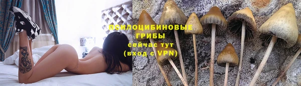 эйфоретик Баксан